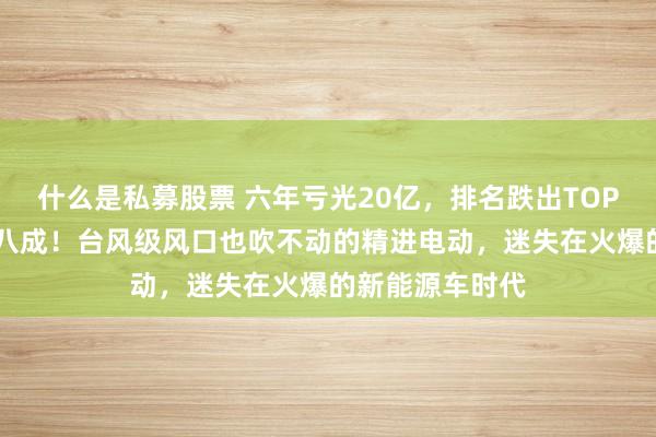 什么是私募股票 六年亏光20亿，排名跌出TOP10，市值暴跌八成！台风级风口也吹不动的精进电动，迷失在火爆的新能源车时代